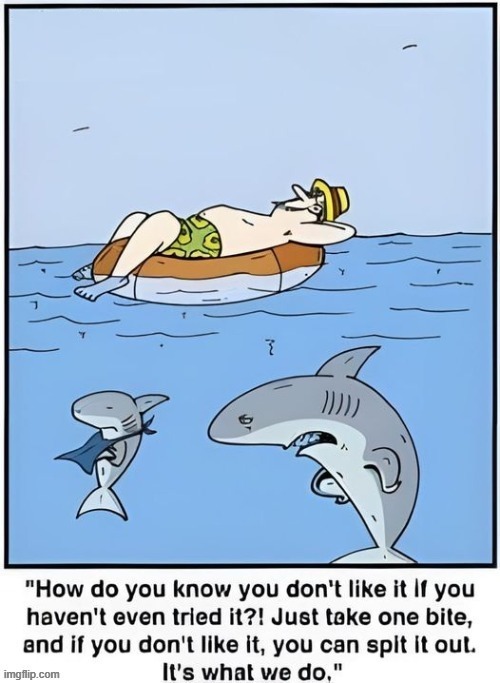 Shark Meal | image tagged in arj328 jpg | made w/ Imgflip meme maker