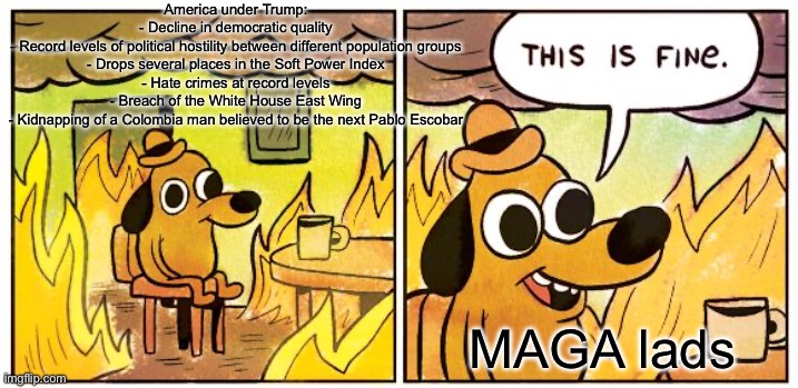 America under Trump:

- Decline in democratic quality

- Record levels of political hostility between different population groups

- Drops s | image tagged in memes,this is fine | made w/ Imgflip meme maker