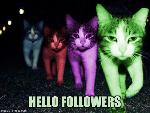 RayCat Follower Template | Hello followers | image tagged in wrong neighborhood raycats | made w/ Imgflip meme maker