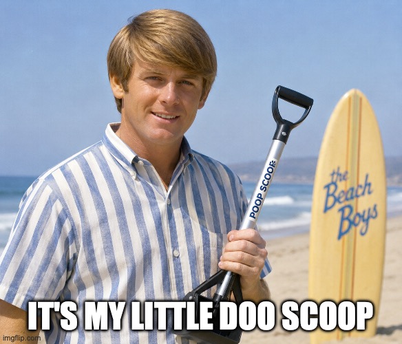 Beach boy deuce coup | It's my little doo scoop | image tagged in chatgpt image may 12 2026 at 12_53_54 pm png | made w/ Imgflip meme maker
