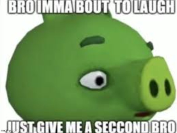 p | image tagged in pig jpeg | made w/ Imgflip meme maker