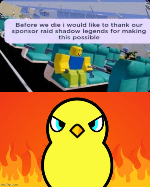 Uhh i ruined the fill in meme | image tagged in duck life duck hates | made w/ Imgflip meme maker