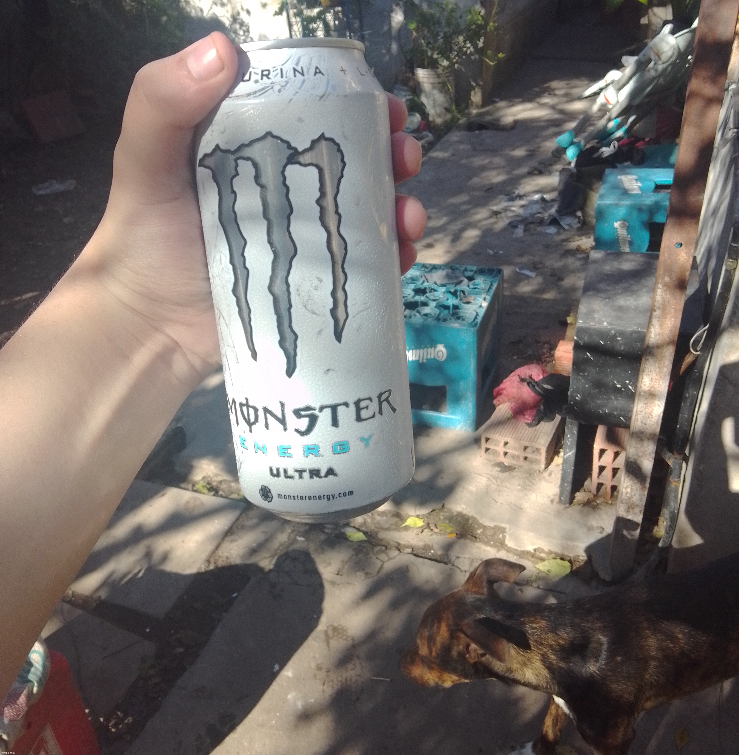 gonna try white monster for the first time | made w/ Imgflip meme maker