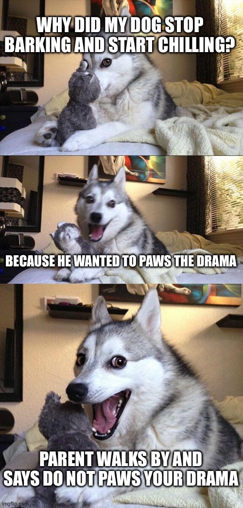 Bad Pun Dog | WHY DID MY DOG STOP BARKING AND START CHILLING? BECAUSE HE WANTED TO PAWS THE DRAMA; Parent walks by and says DO NOT PAWS YOUR DRAMA | image tagged in memes,bad pun dog | made w/ Imgflip meme maker