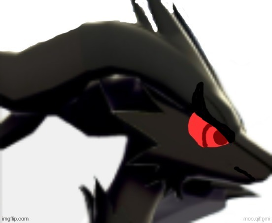 Verita the Reshiram black | image tagged in verita the reshiram black | made w/ Imgflip meme maker