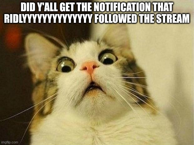 Scared Cat Meme | did y'all get the notification that ridlyyyyyyyyyyyyyy followed the stream | image tagged in memes,scared cat | made w/ Imgflip meme maker
