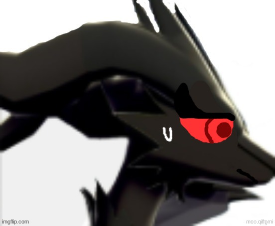 Verita the Reshiram black | image tagged in verita the reshiram black | made w/ Imgflip meme maker