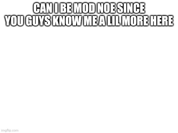 Can I be mod noe since you guys know me a lil more here | made w/ Imgflip meme maker