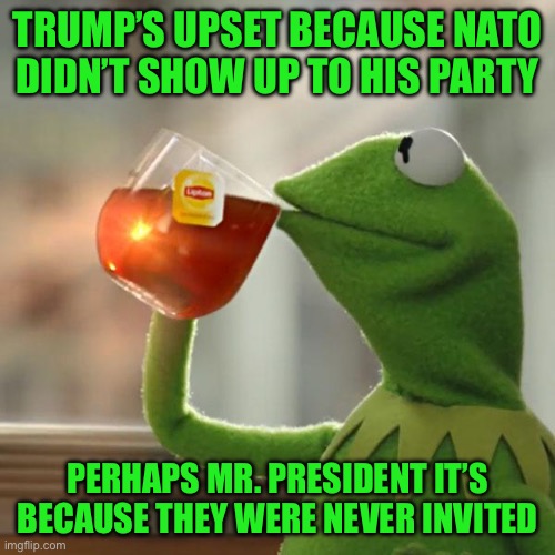 But That's None Of My Business Meme | Trump’s upset because nato didn’t show up to his party; Perhaps Mr. President it’s because they were never invited | image tagged in memes,but that's none of my business,kermit the frog | made w/ Imgflip meme maker