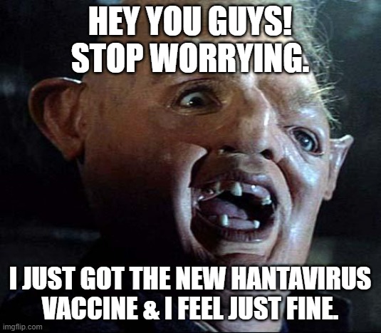 Sloth Goonies | hey you guys!
stop worrying. i just Got the new hantavirus vaccine & i feel just fine. | image tagged in sloth goonies,rats,vaccine,virus,democrats,lol | made w/ Imgflip meme maker