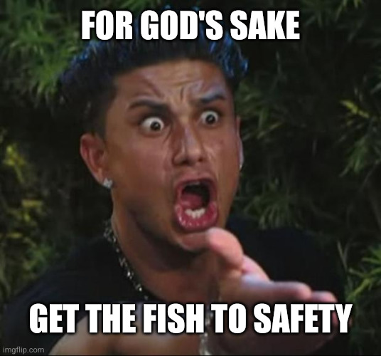for God's sake Get the fish to safety | image tagged in memes,dj pauly d | made w/ Imgflip meme maker