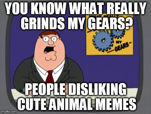 Peter Griffin News Meme | YOU KNOW WHAT REALLY GRINDS MY GEARS? PEOPLE DISLIKING CUTE ANIMAL MEMES | image tagged in memes,peter griffin news | made w/ Imgflip meme maker