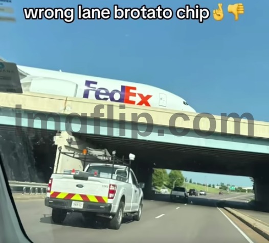 Beep Beep | image tagged in funny,relatable,cursed image,memes,meme,flick7 | made w/ Imgflip meme maker