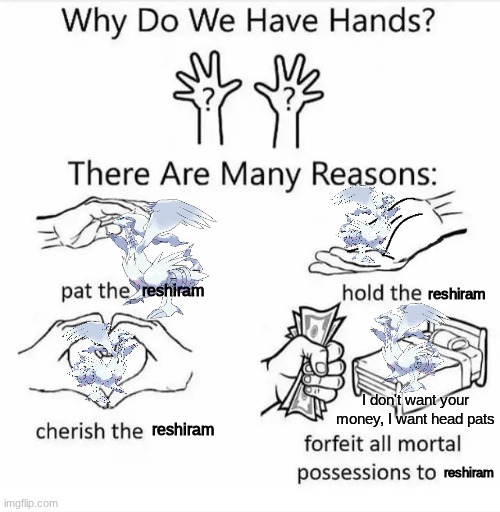 why do we have hands | reshiram; reshiram; I don't want your money, I want head pats; reshiram; reshiram | image tagged in why do we have hands all blank | made w/ Imgflip meme maker