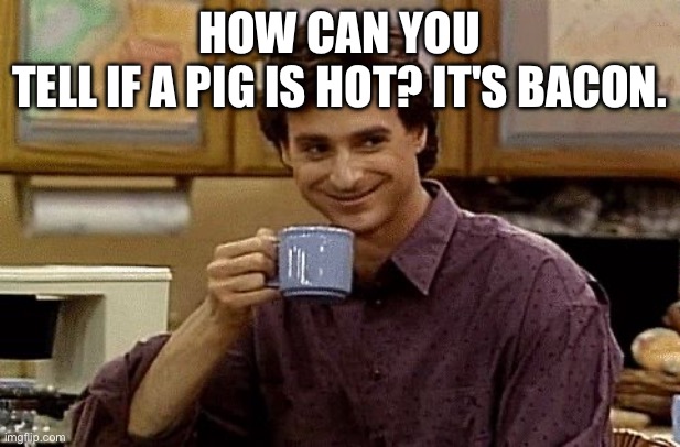 Dad Joke | How can you tell if a pig is hot? It's bacon. | image tagged in dad joke | made w/ Imgflip meme maker