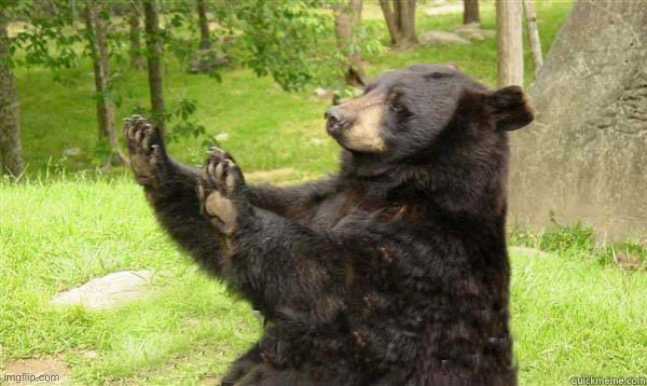 image tagged in how about no bear | made w/ Imgflip meme maker