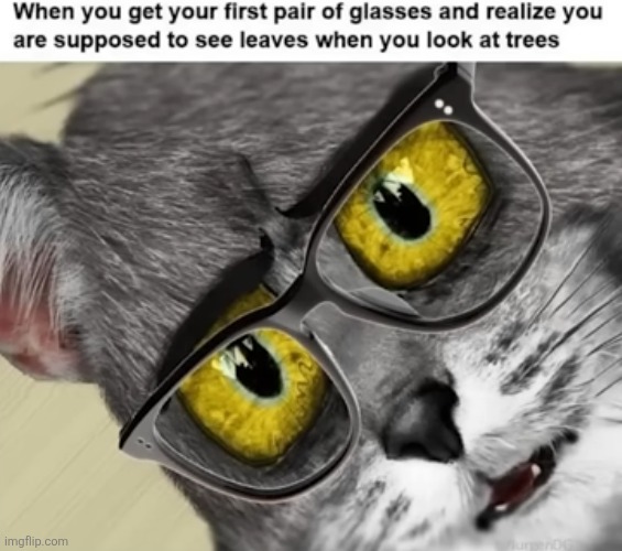 image tagged in glasses,eyes,realistic,unsettled tom,clear,memes | made w/ Imgflip meme maker