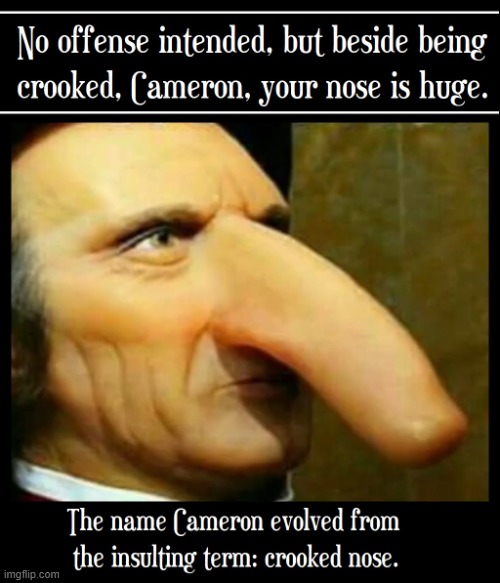 A name that used to be an insult | image tagged in vince vance,big nose,cameron,memes,noses,snoot | made w/ Imgflip meme maker