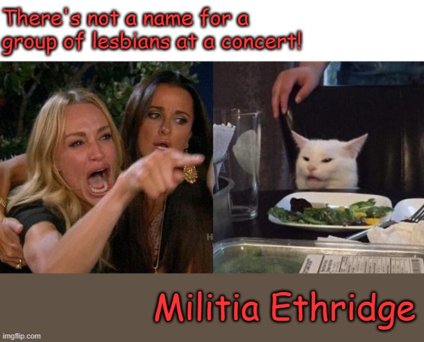 funny | There's not a name for a group of lesbians at a concert! Militia Ethridge | image tagged in memes,woman yelling at cat | made w/ Imgflip meme maker