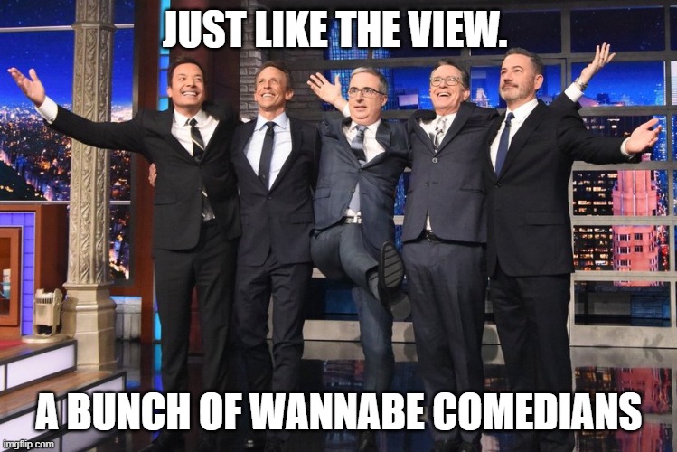 If The View was Bisexual. | Just Like The View. A Bunch of Wannabe Comedians | image tagged in if the view was bisexual | made w/ Imgflip meme maker