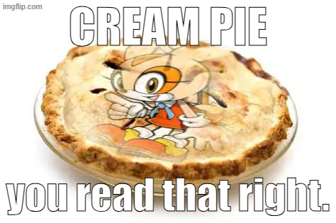 its a pie with cream on it | cream pie; you read that right. | image tagged in memes,funny,sonic,you heared me | made w/ Imgflip meme maker