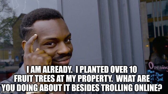 Roll Safe Think About It Meme | I am already.  I planted over 10 fruit trees at my property.  What are you doing about it besides trolling online? | image tagged in memes,roll safe think about it | made w/ Imgflip meme maker