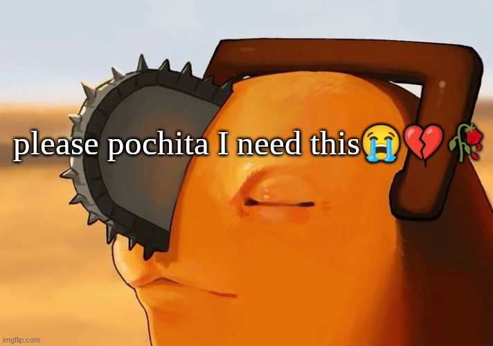 Pochita Cooked | please pochita I need this😭💔🥀 | image tagged in pochita cooked | made w/ Imgflip meme maker