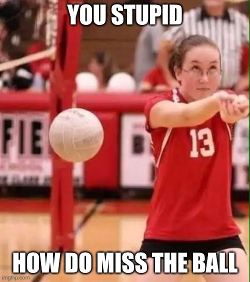 Volleyball Fail | you stupid; how do miss the ball | image tagged in volleyball fail | made w/ Imgflip meme maker