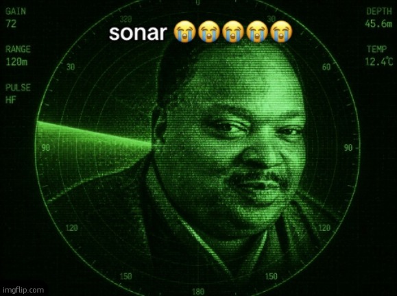 yall talked abt sum "migration to msmgsite" and it hasnt even had more than 15 active users since the week of its release bsfr | image tagged in sonar | made w/ Imgflip meme maker