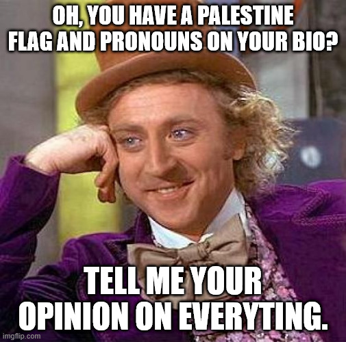 Creepy Condescending Wonka Meme | Oh, you have a Palestine flag and pronouns on your bio? Tell me your opinion on everyting. | image tagged in memes,creepy condescending wonka | made w/ Imgflip meme maker