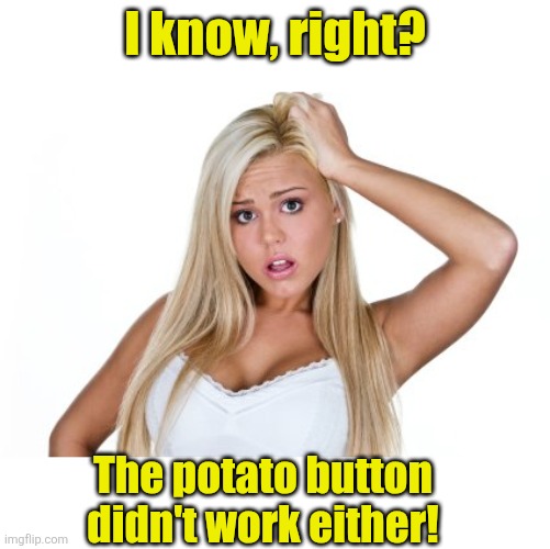 Dumb Blonde | I know, right? The potato button didn't work either! | image tagged in dumb blonde | made w/ Imgflip meme maker