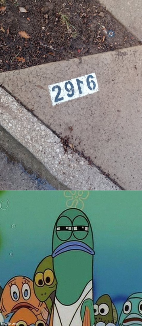 *2916 | image tagged in spongebob,number,ground,outside,memes,you had one job | made w/ Imgflip meme maker