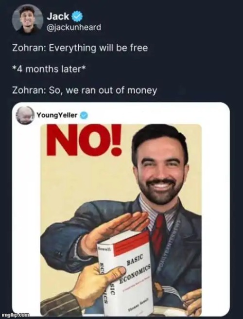 It's like having a delinquent teenager running your life | image tagged in radical,commie,nonsense,somethings wrong,liberal logic | made w/ Imgflip meme maker