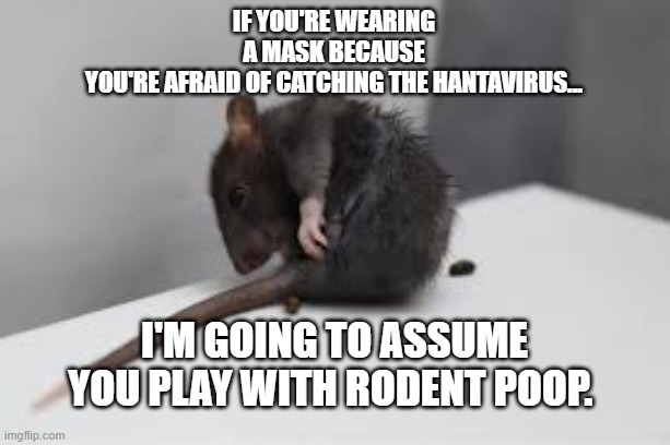 Hantavirus Rat Poop | If you're wearing a mask because you're afraid of catching the Hantavirus... I'm going to assume you play with rodent poop. | image tagged in hantavirus rat poop | made w/ Imgflip meme maker