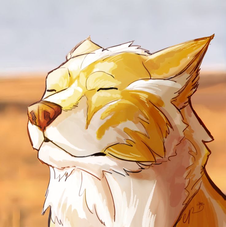 High Quality Golden wolf (TloZ,TP) doing the thing Blank Meme Template