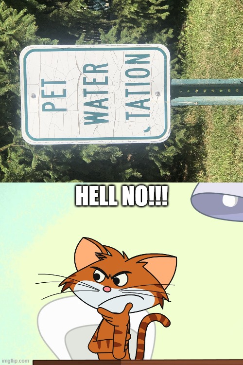 HELL NO!!! | image tagged in pet water sign fail,cat cat and keet thinking | made w/ Imgflip meme maker
