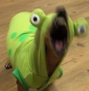 High Quality The Snarling Creature Blank Meme Template