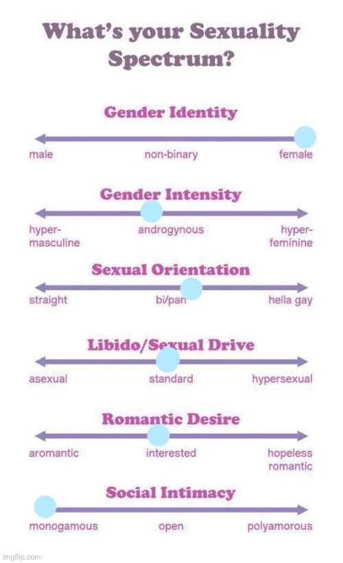 Image title | image tagged in what's your sexuality spectrum | made w/ Imgflip meme maker