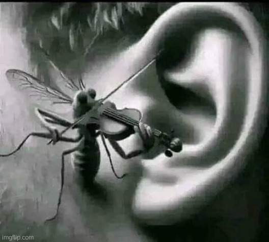 Mosquito in ear | image tagged in mosquito in ear | made w/ Imgflip meme maker