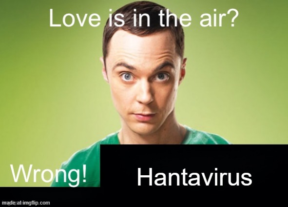 Love is in the air? Wrong! X | Hantavirus | image tagged in love is in the air wrong x | made w/ Imgflip meme maker