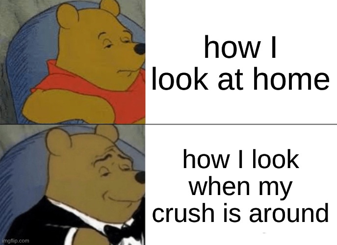 Tuxedo Winnie The Pooh Meme | how I look at home; how I look when my crush is around | image tagged in memes,tuxedo winnie the pooh | made w/ Imgflip meme maker