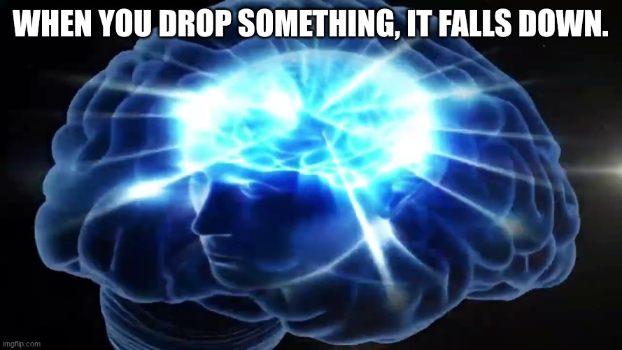 But you didn't have to cut me off | when you drop something, it falls down. | image tagged in but you didn't have to cut me off | made w/ Imgflip meme maker