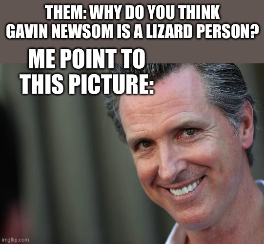 Gavin Newsom | Them: why do you think Gavin newsom is a lizard person? Me point to this picture: | image tagged in gavin newsom,politics,political meme,shapeshifting lizard,government corruption | made w/ Imgflip meme maker