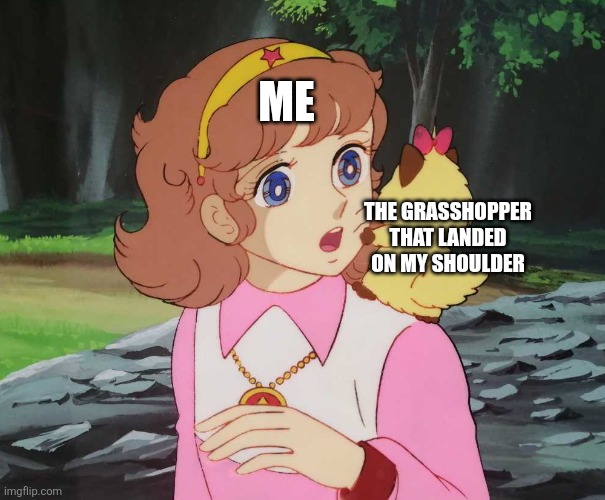 Me; The grasshopper that landed on my shoulder | image tagged in memes,magical,girl | made w/ Imgflip meme maker