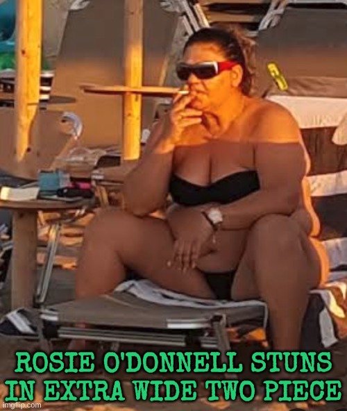 TDS makes you fat and ugly | Rosie O'Donnell stuns in extra wide two piece | image tagged in beach rosie od | made w/ Imgflip meme maker