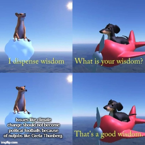 All the research is there and it's happening. As a right winger we need to do something! | Issues like climate change should not become political footballs because of nutjobs like Greta Thunberg. | image tagged in wisdom dog,memes,politics,climate change | made w/ Imgflip meme maker