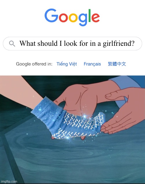 How to spot a fun girlfriend | What should I look for in a girlfriend? | image tagged in google search,cinderella's grippy sock,girlfriend,crazy girlfriend,psychotic girlfriend | made w/ Imgflip meme maker