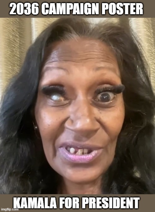 Kamala for President 2036 | 2036 campaign poster; kamala for president | image tagged in instagram babygirrl632 jpeg | made w/ Imgflip meme maker