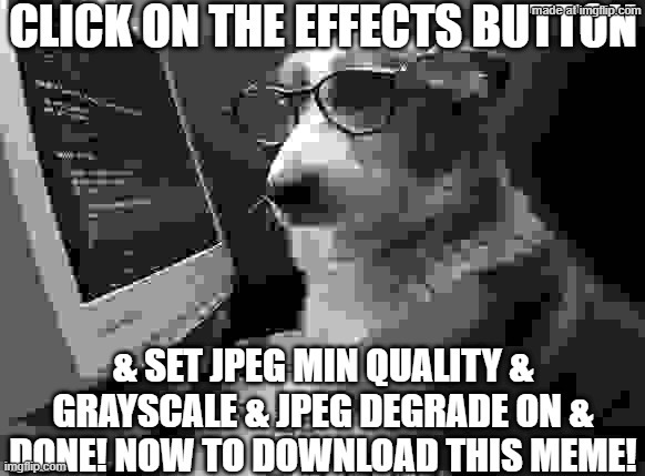 Let him work | image tagged in corgie_hacker jpeg | made w/ Imgflip meme maker