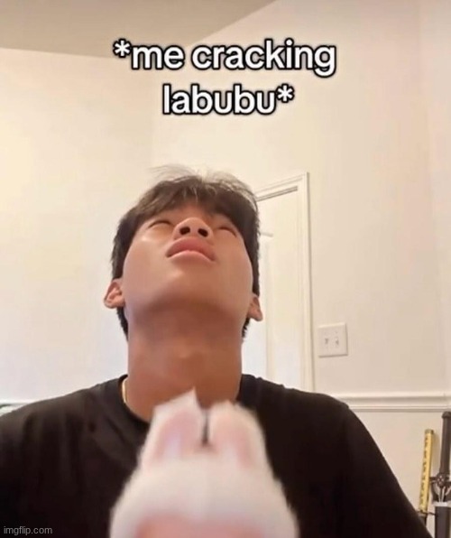 me cracking labubu | image tagged in me cracking labubu | made w/ Imgflip meme maker